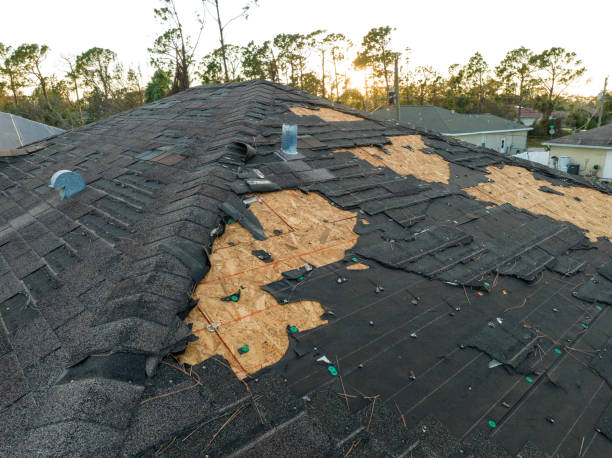 Best Asphalt Shingle Roofing  in Bradford, PA